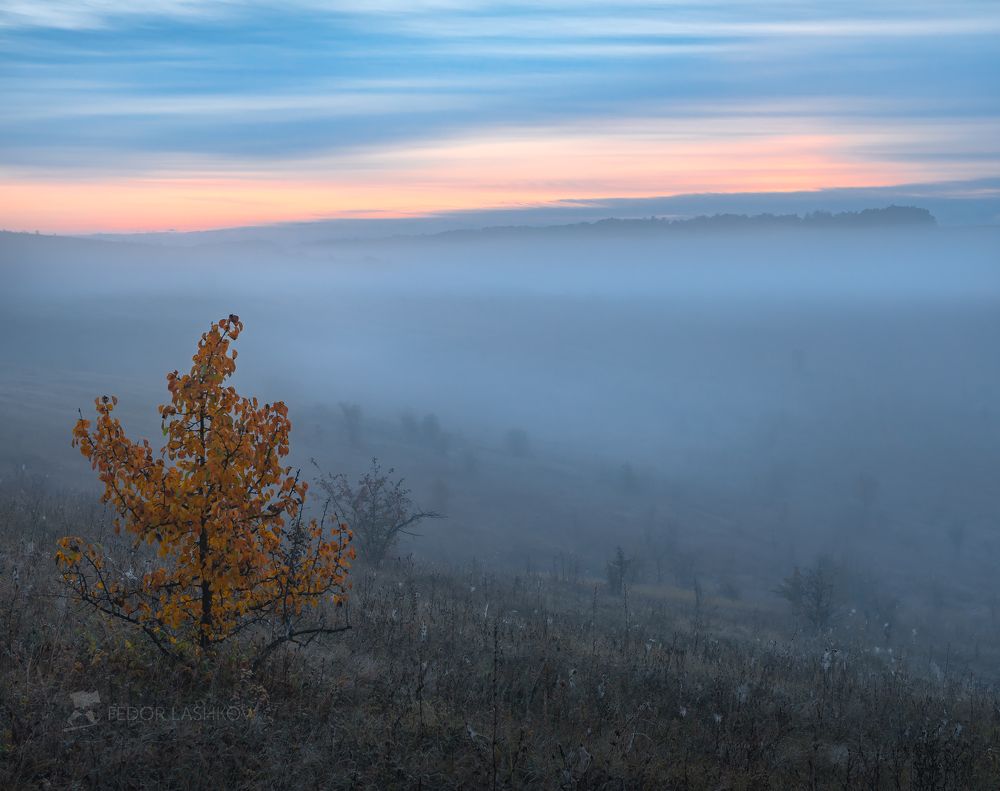 Акварели осени