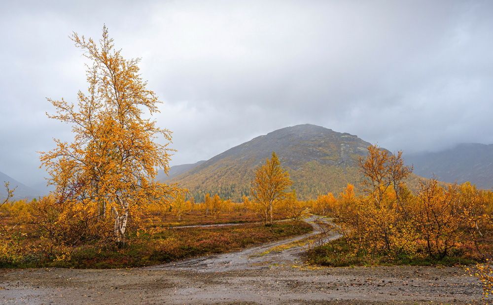 Осень в Хибинах