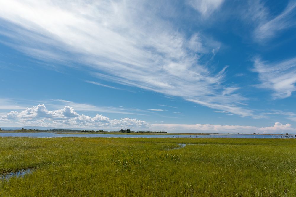 Байкал. окресности р. Култушная
