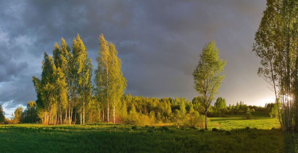 Полна природа озаренья...