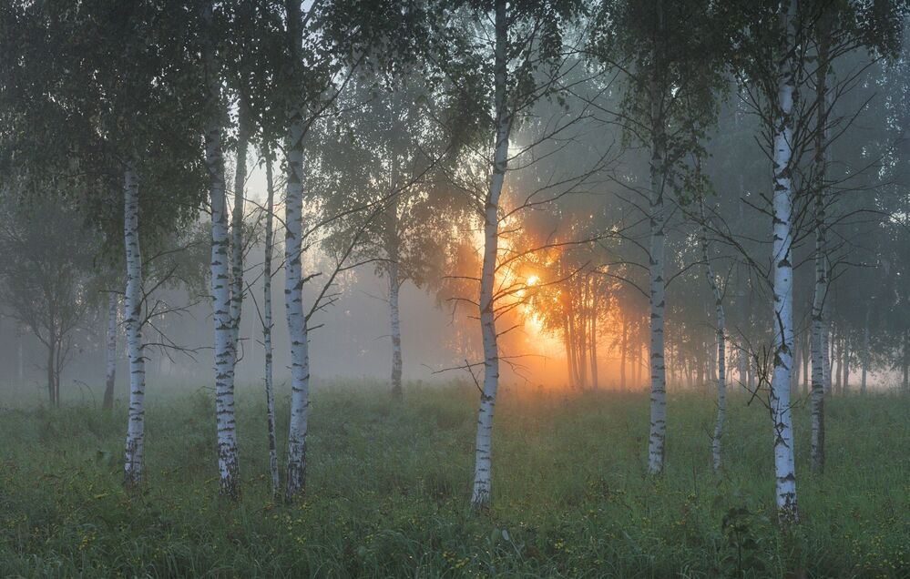 Полна природа озаренья...