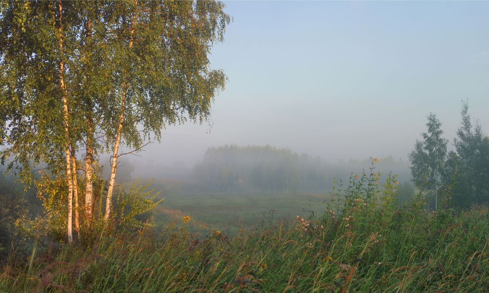 Полна природа озаренья...