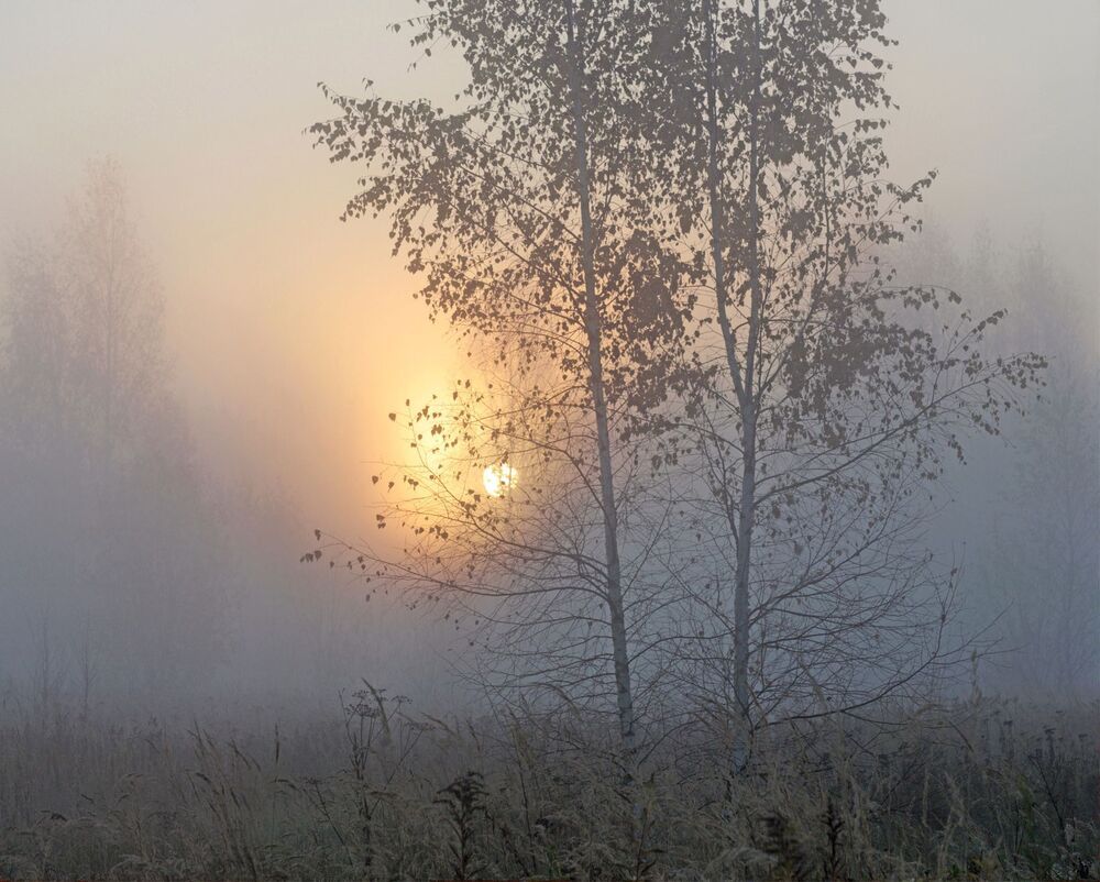 Полна природа озаренья...