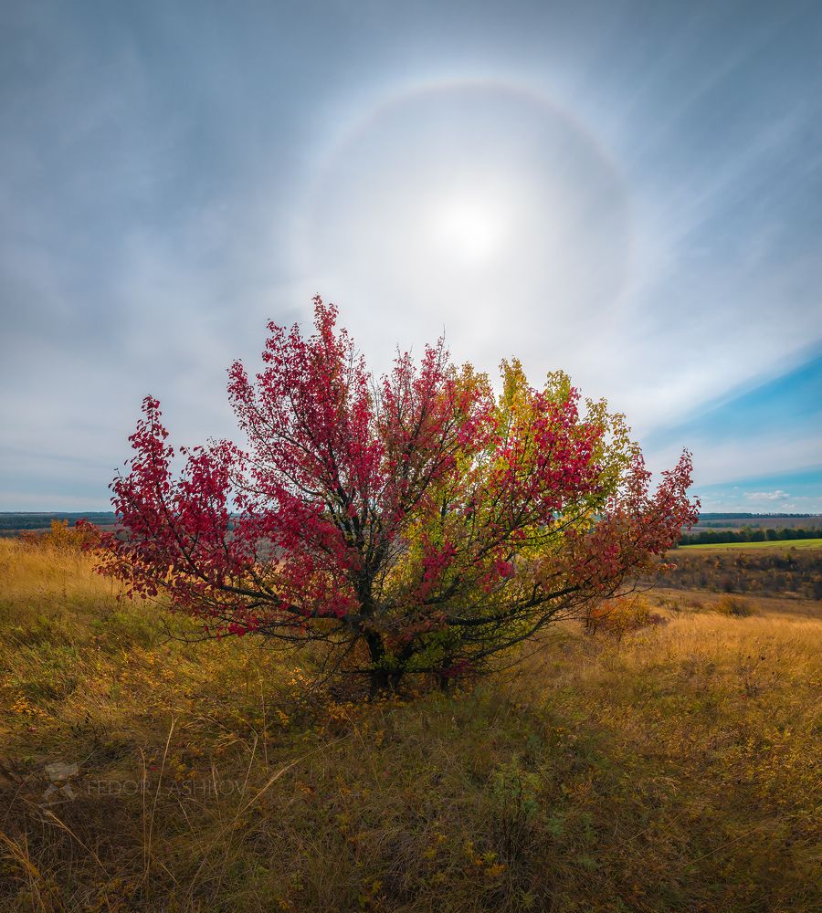 Осеннее гало
