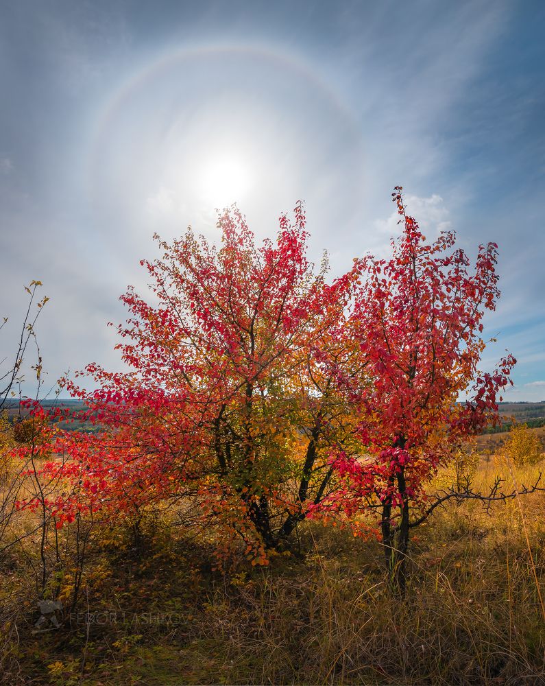 Осеннее гало