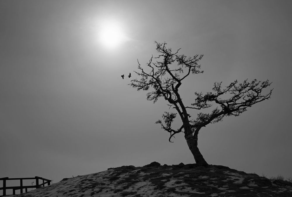 Photo 2253544