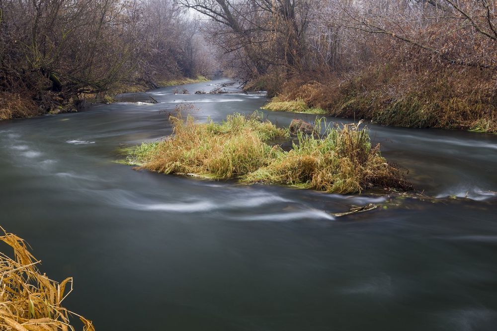 Photo 2253552