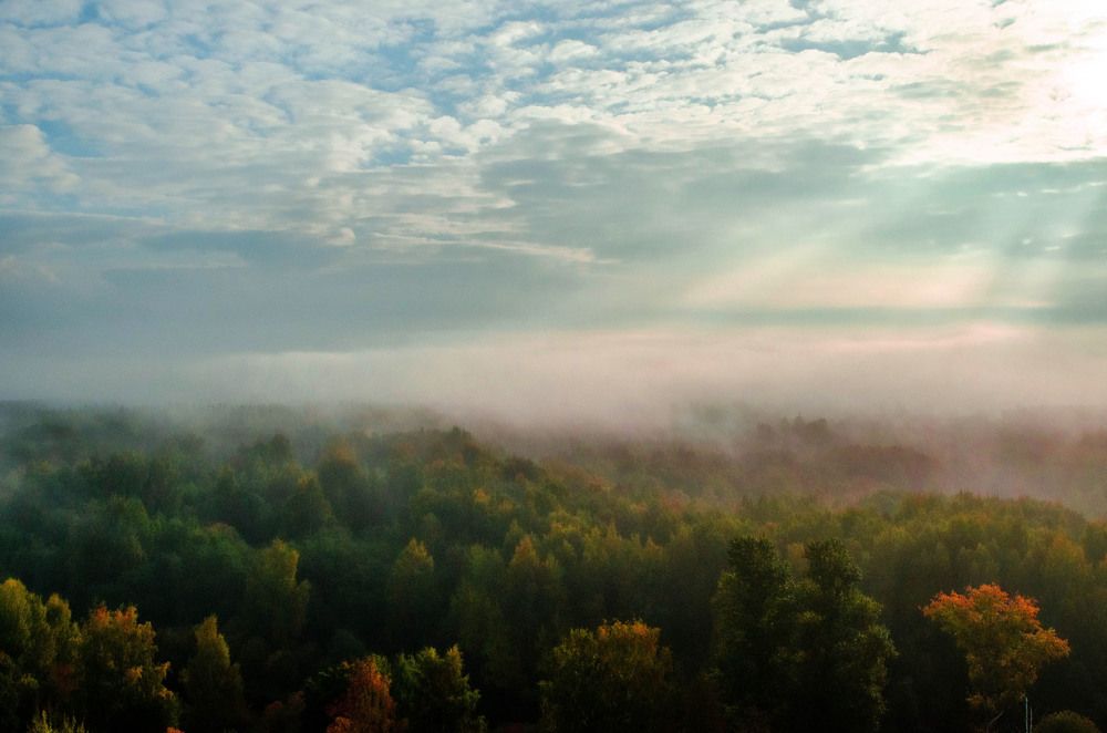Осень