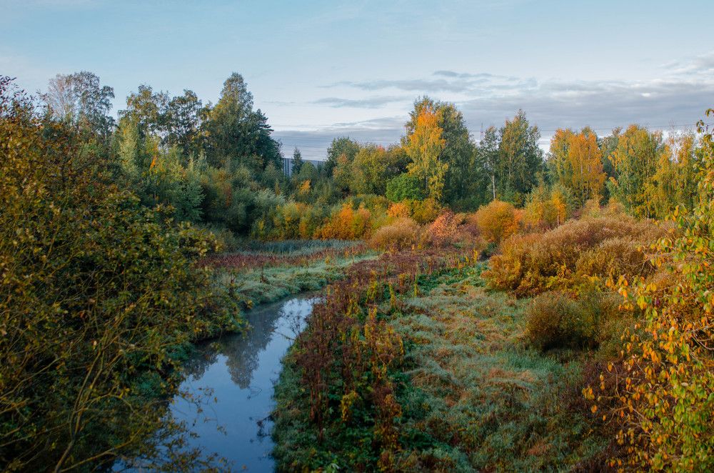Осень