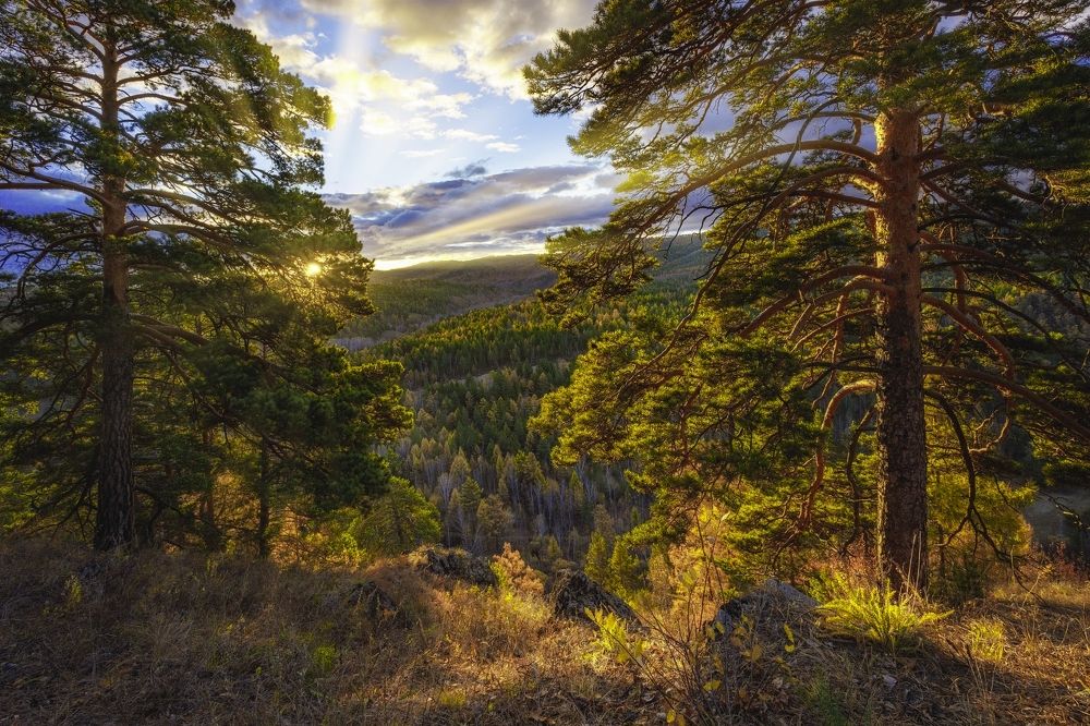 Осеннее Забайкалье.