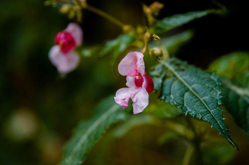 Photo 2254209