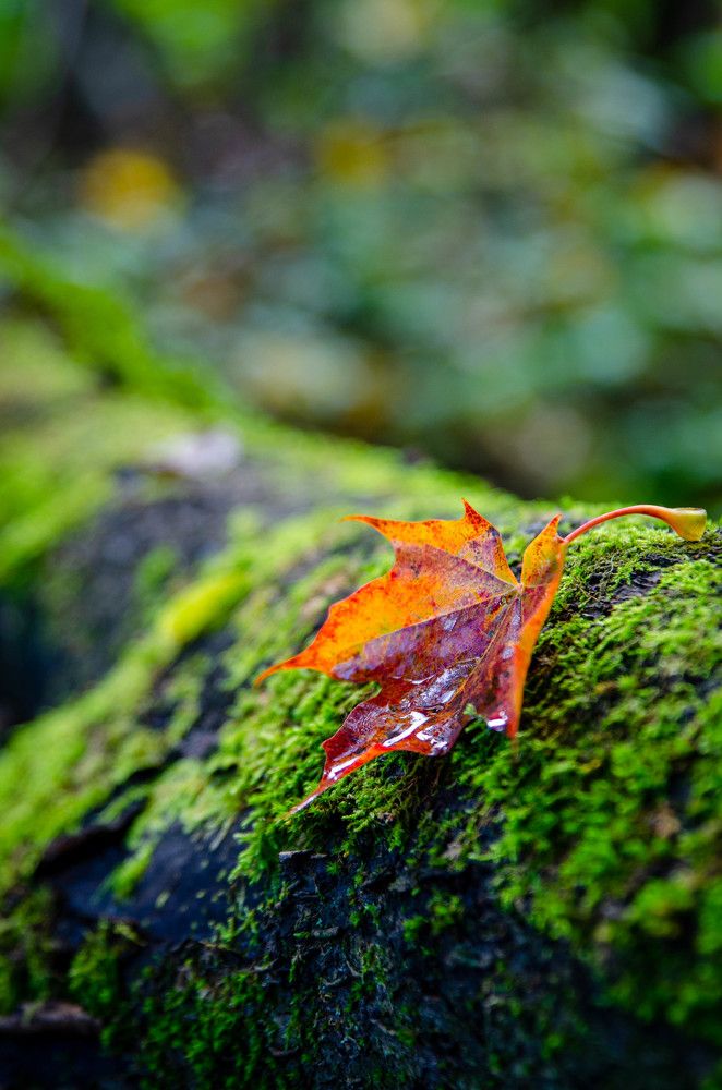 Photo 2254212