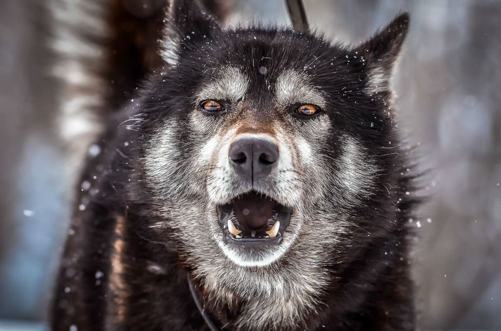 Photo 2254593