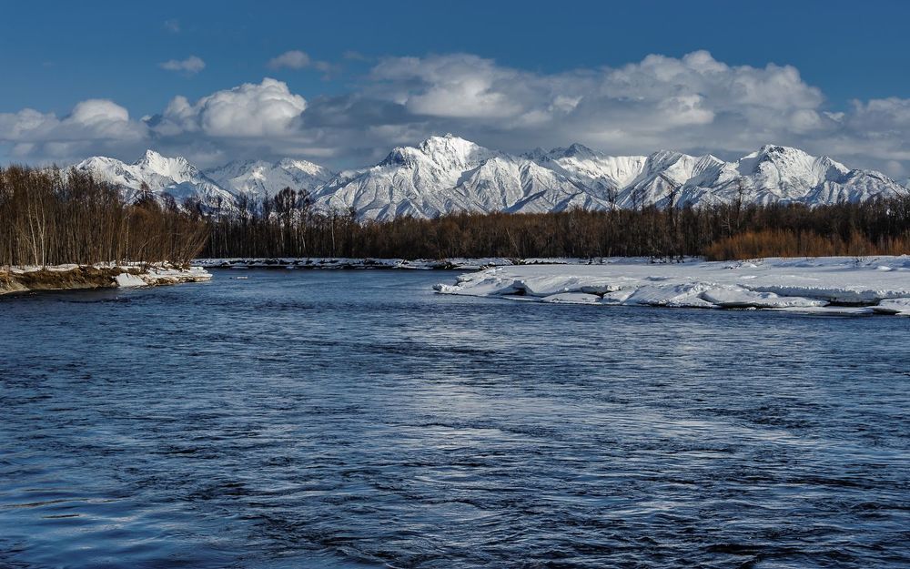 Photo 2254595
