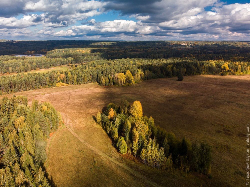 Деревенские пейзажи