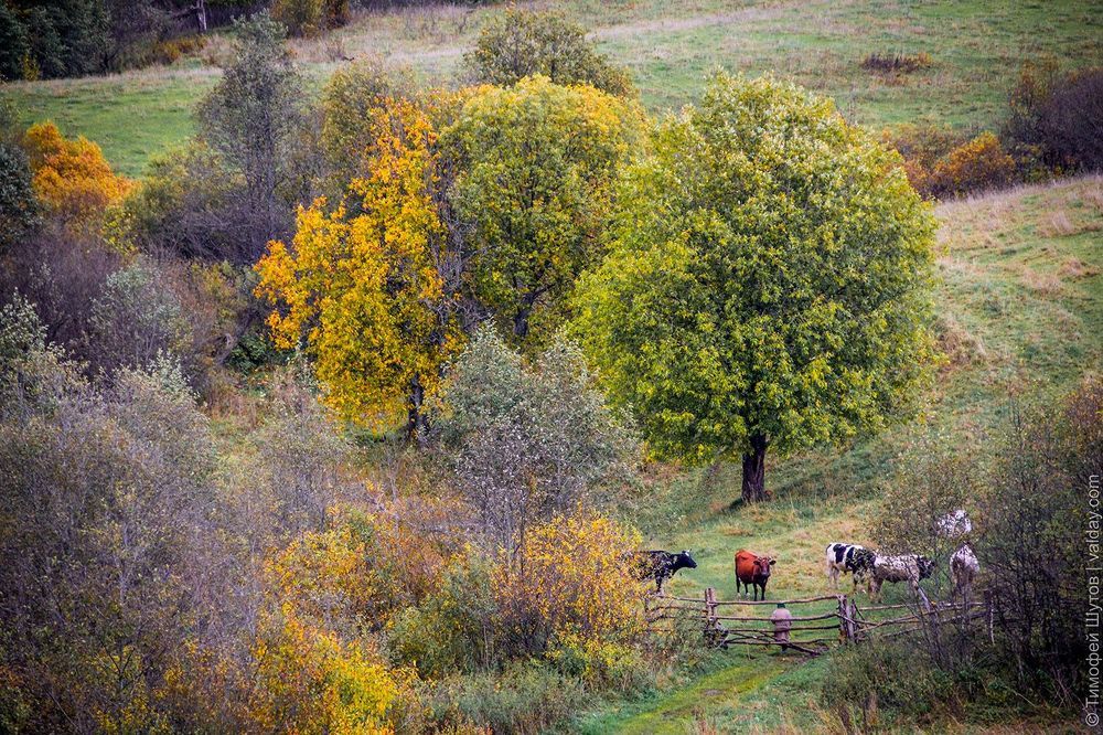 Валдайская осенняя хандра
