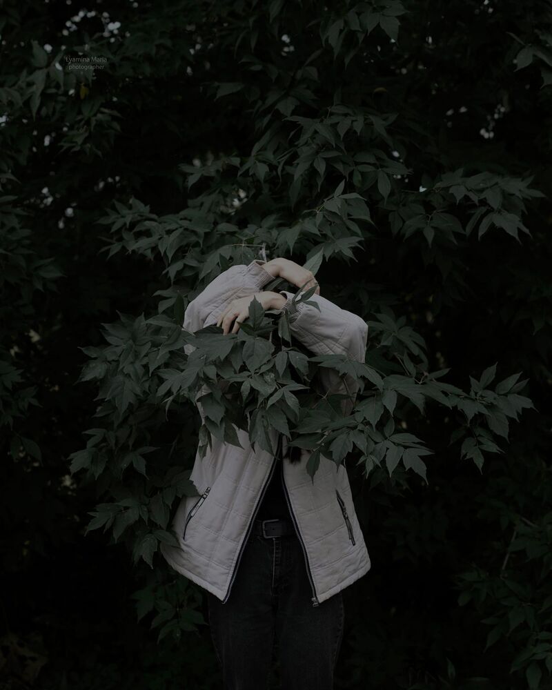 Photo 2255733