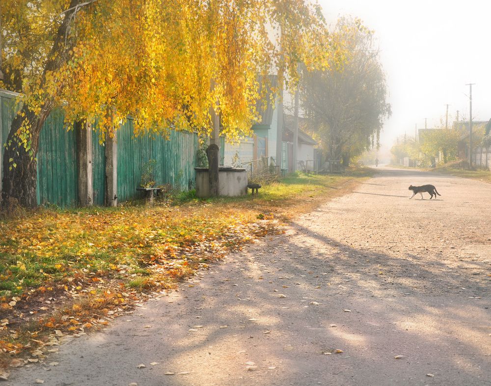 Золото октябрьского утра