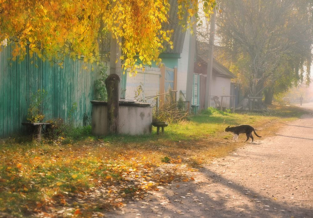 Золото октябрьского утра