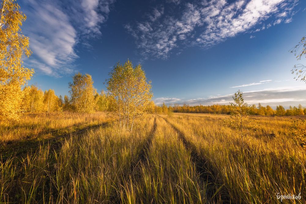 Золотая осень.