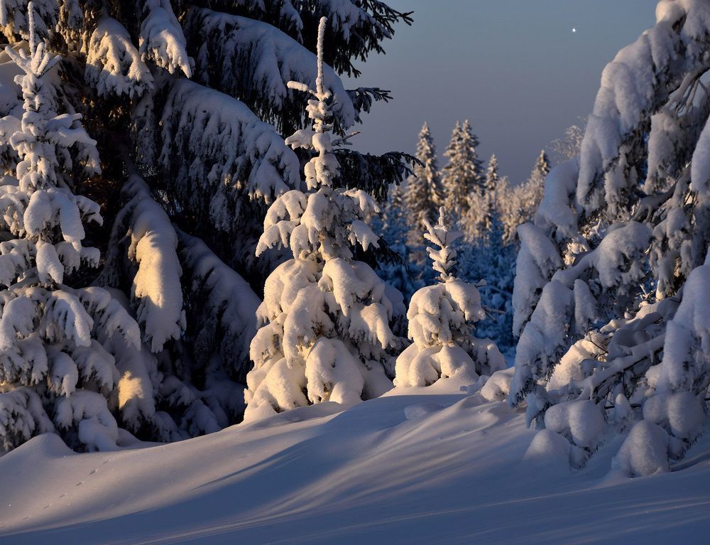 Photo 2256667
