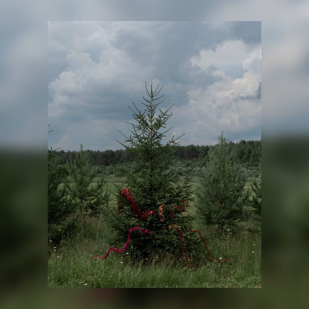 Photo 2257207