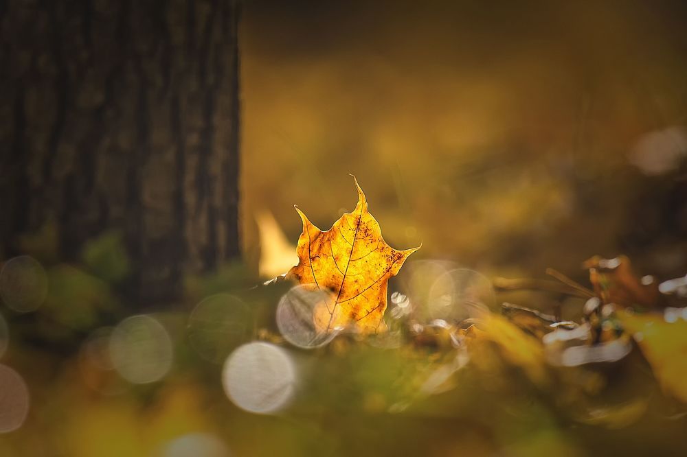 Photo 2257420
