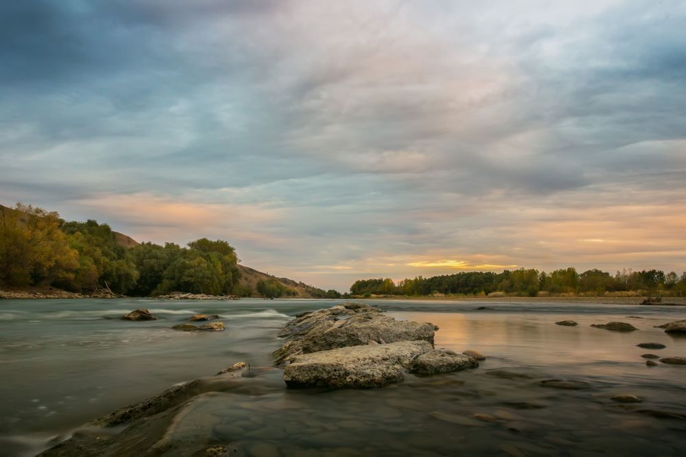 Photo 2257918
