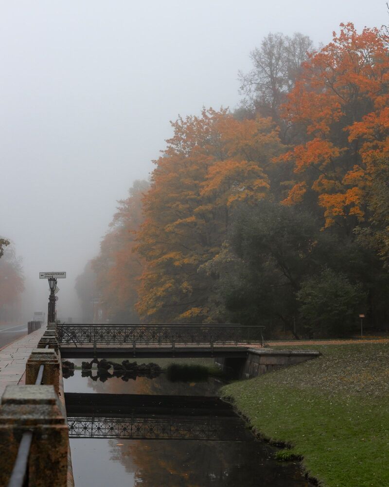 Photo 2257986