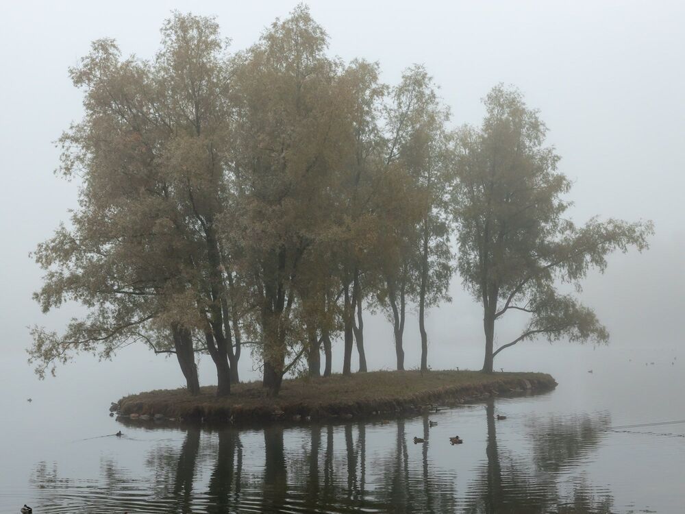 Photo 2257990