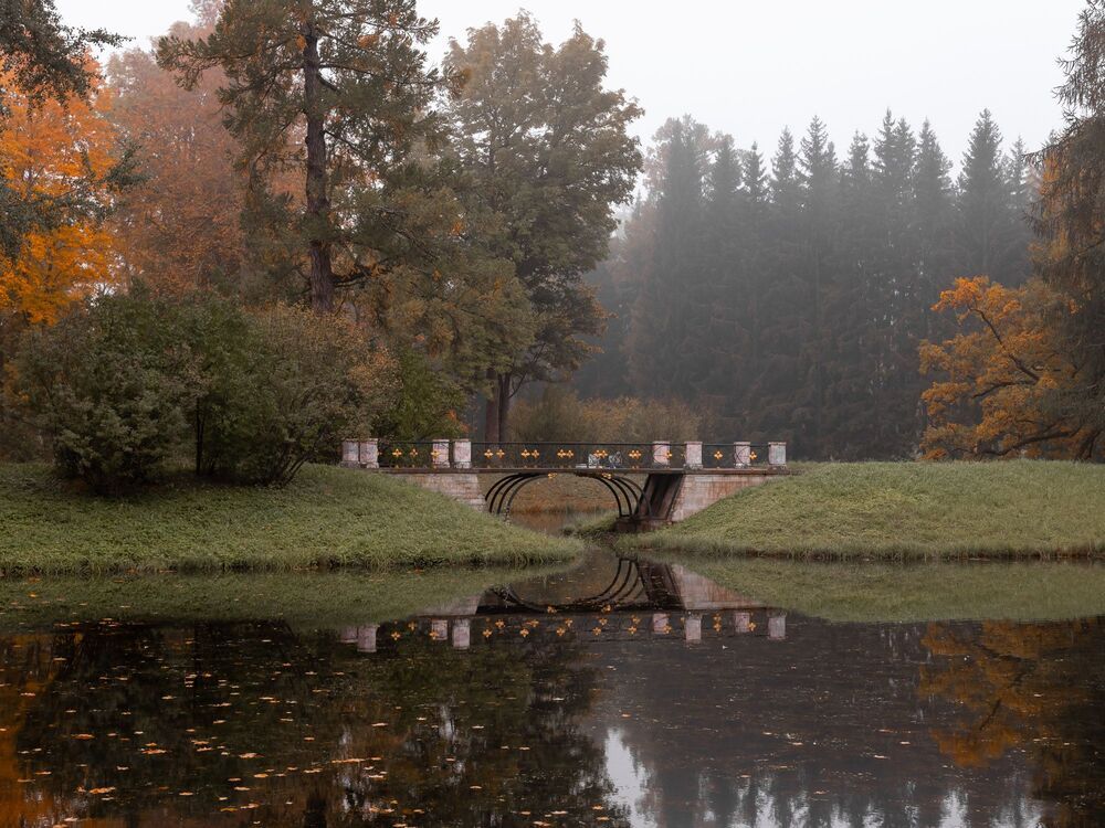 Photo 2257991