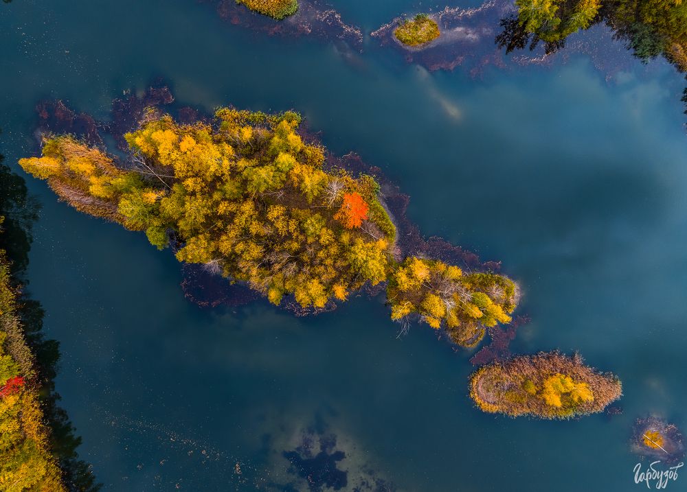 Кондуки осенью