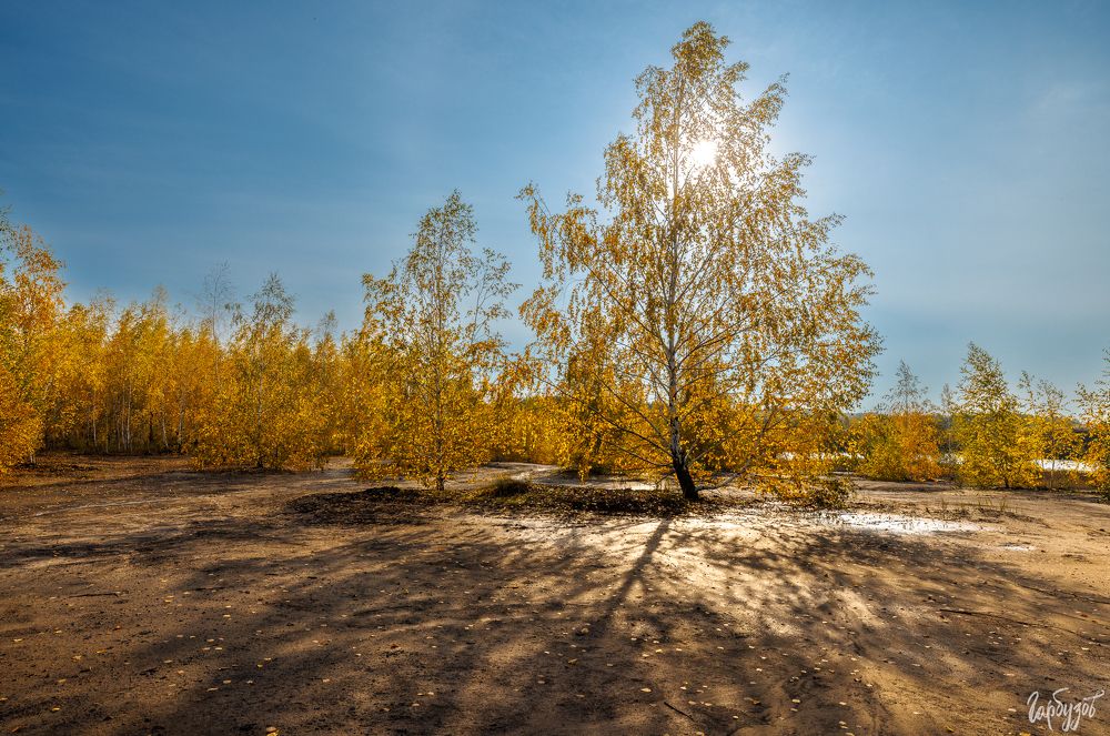 Кондуки осенью