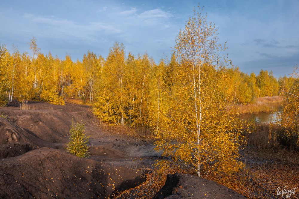 Кондуки осенью