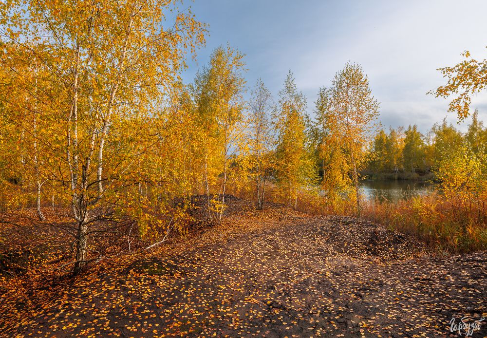 Кондуки осенью