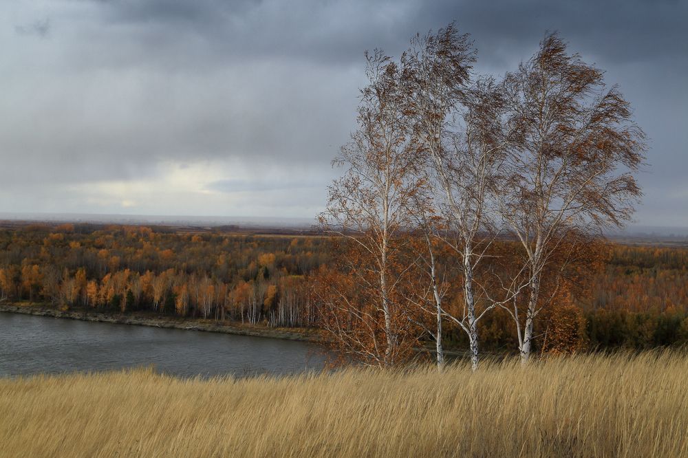 Берег Оби в Октябре