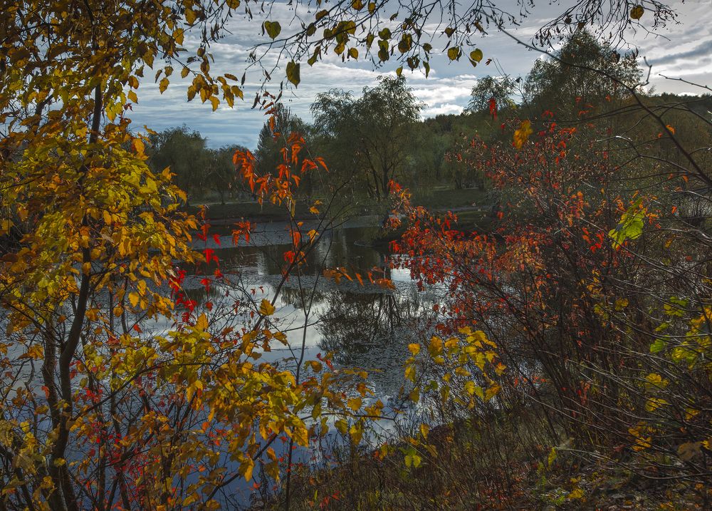 осень