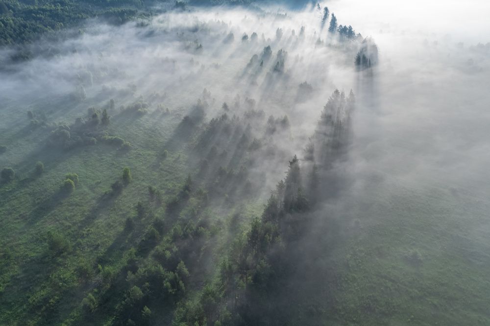 Photo 2259492