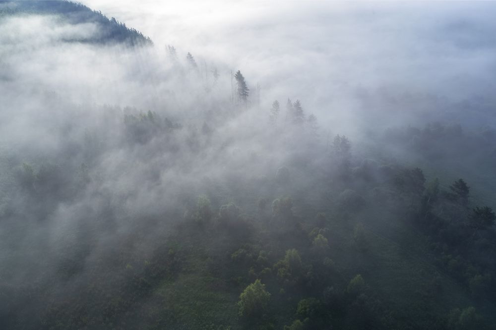 Photo 2259493