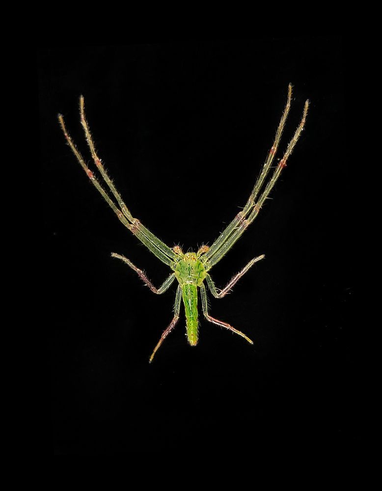 Macro photography