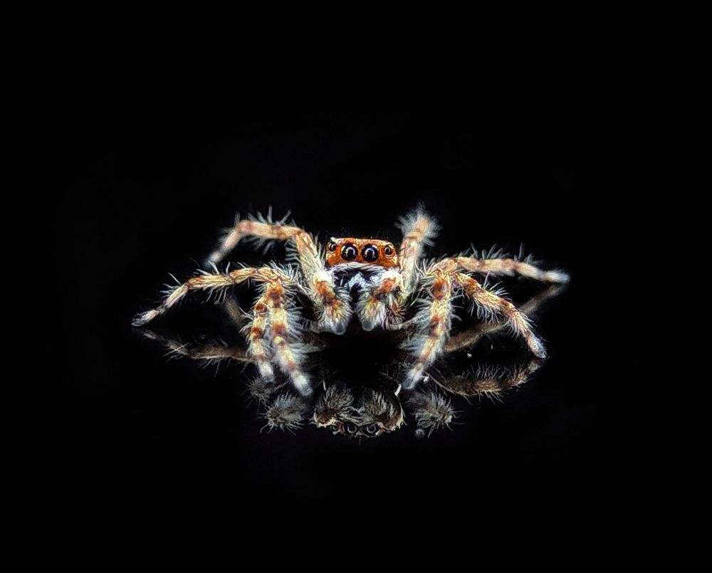 Macro photography