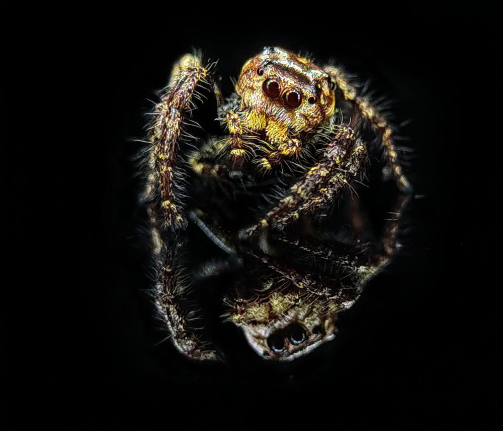Macro photography