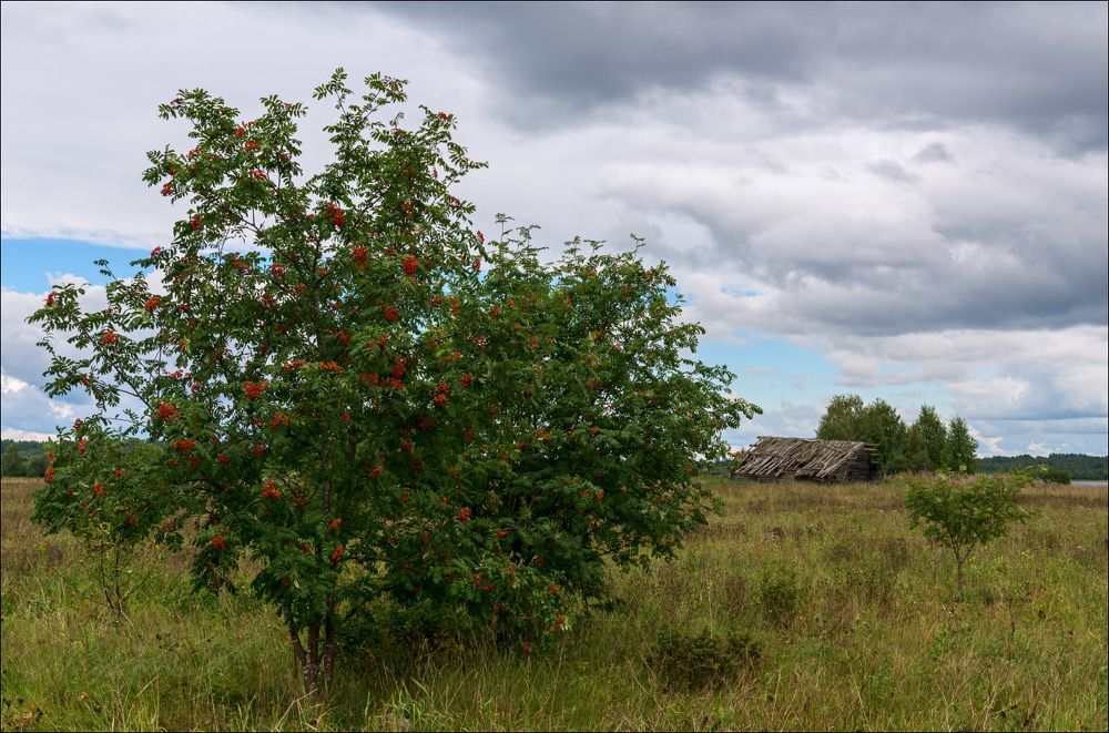 Прошлое в настоящем