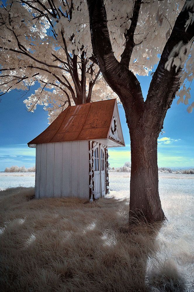 Ir Photo