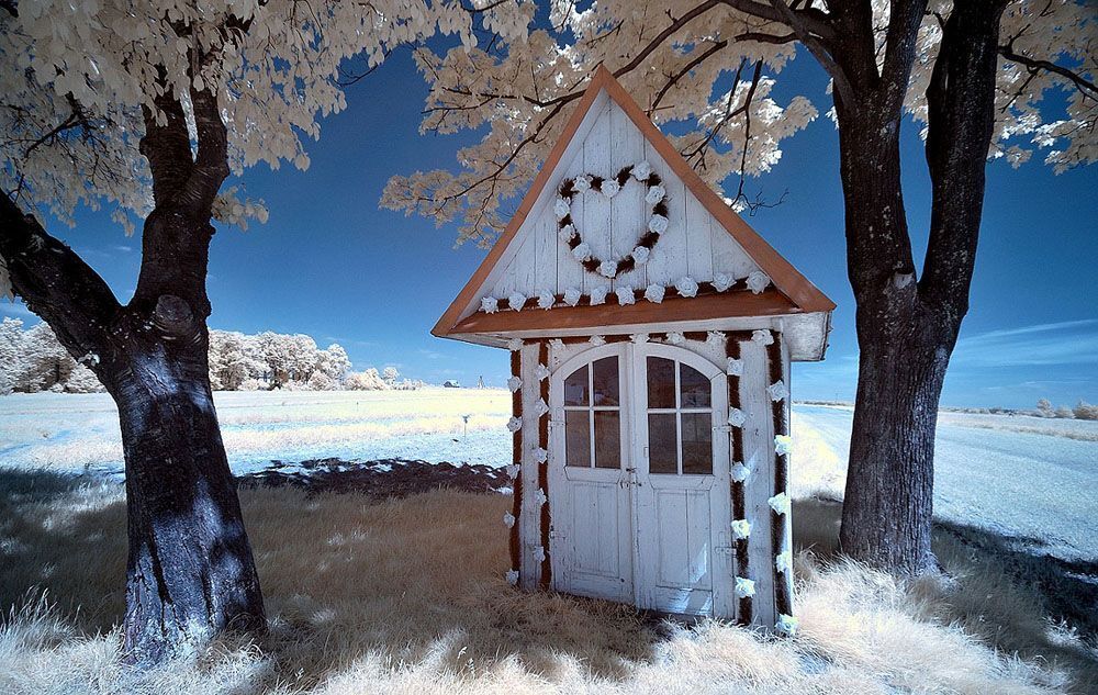 Ir Photo