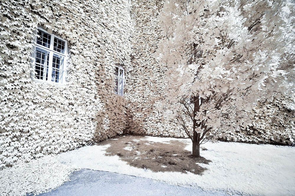 Ir Photo