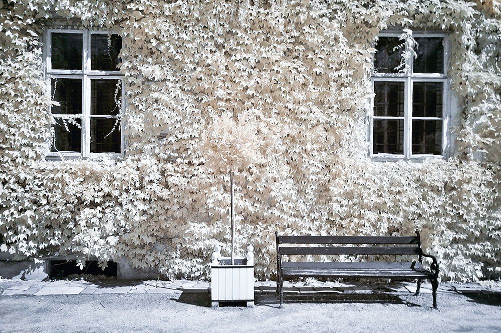 Ir Photo