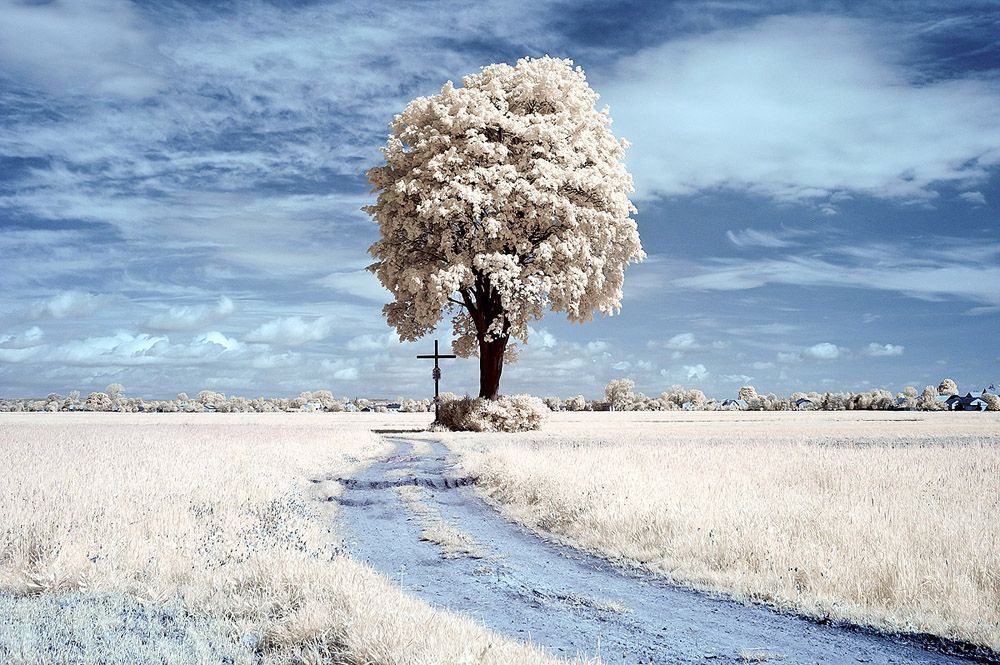 Ir Photo