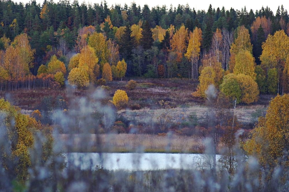 Дорогами осени. Карелия