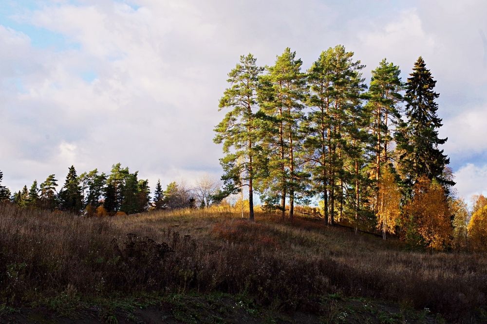 Дорогами осени. Карелия
